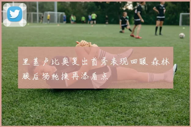 里基卢比奥复出首秀表现回暖 森林狼后场轮换再添看点