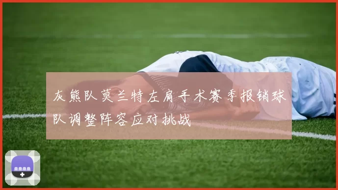 灰熊队莫兰特左肩手术赛季报销球队调整阵容应对挑战