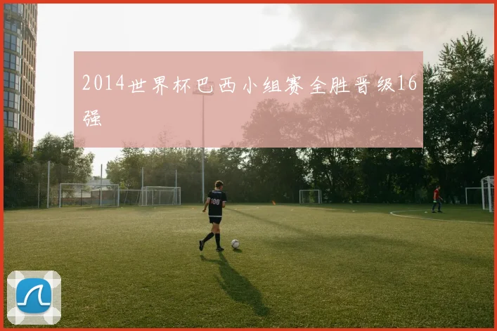 2014世界杯巴西小组赛全胜晋级16强
